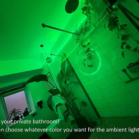 Pansiyon Funkadelic Retreat Transylvania, Private Room&bath In Shared With Host&cat *