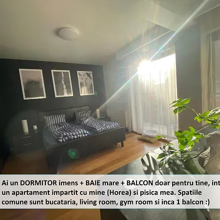 Funkadelic Retreat Transylvania, Private Room&bath In Shared With Host&cat Privat bolig Cluj-Napoca