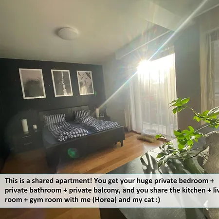Funkadelic Retreat Transylvania, Private Room&bath In Shared With Host&cat *