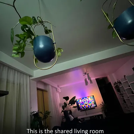 Funkadelic Retreat Transylvania, Private Room&bath In Shared With Host&cat Cluj-Napoca