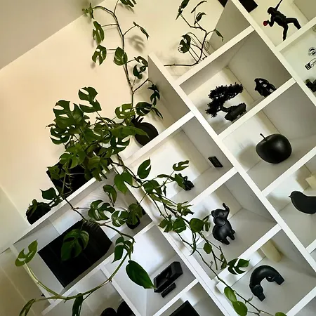 Funkadelic Retreat Transylvania, Private Room&bath In Shared With Host&cat Privat bolig